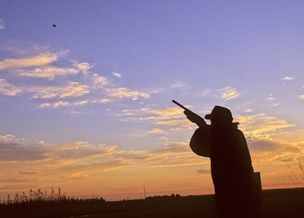 When his eyes were good, outdoors writer Tori McCormick, shown here in South Dakota, could target doves and other game birds, and connect. Now he's lo