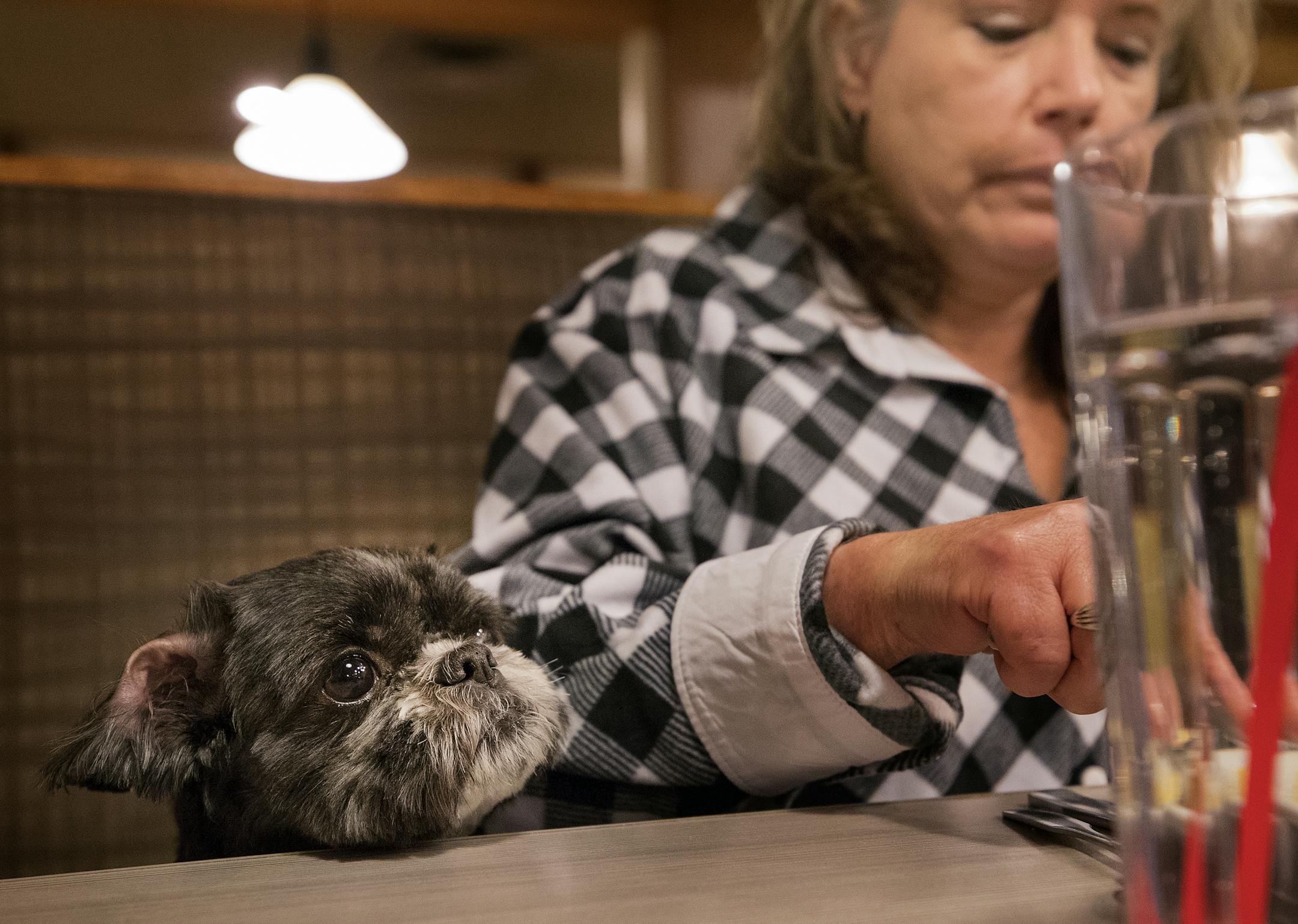 Jane Poeschel and her Shih Tzu therapy dog Trudy sat down fro dinner at Perkins in New Brighton. ] CARLOS GONZALEZ ï cgonzalez@startribune.com - November 2017, Jane Poeschel and her Shih Tzu therapy dog Trudy, the unassuming pair that found themselves in the middle of a federal lawsuit about disability rights and housing discrimination