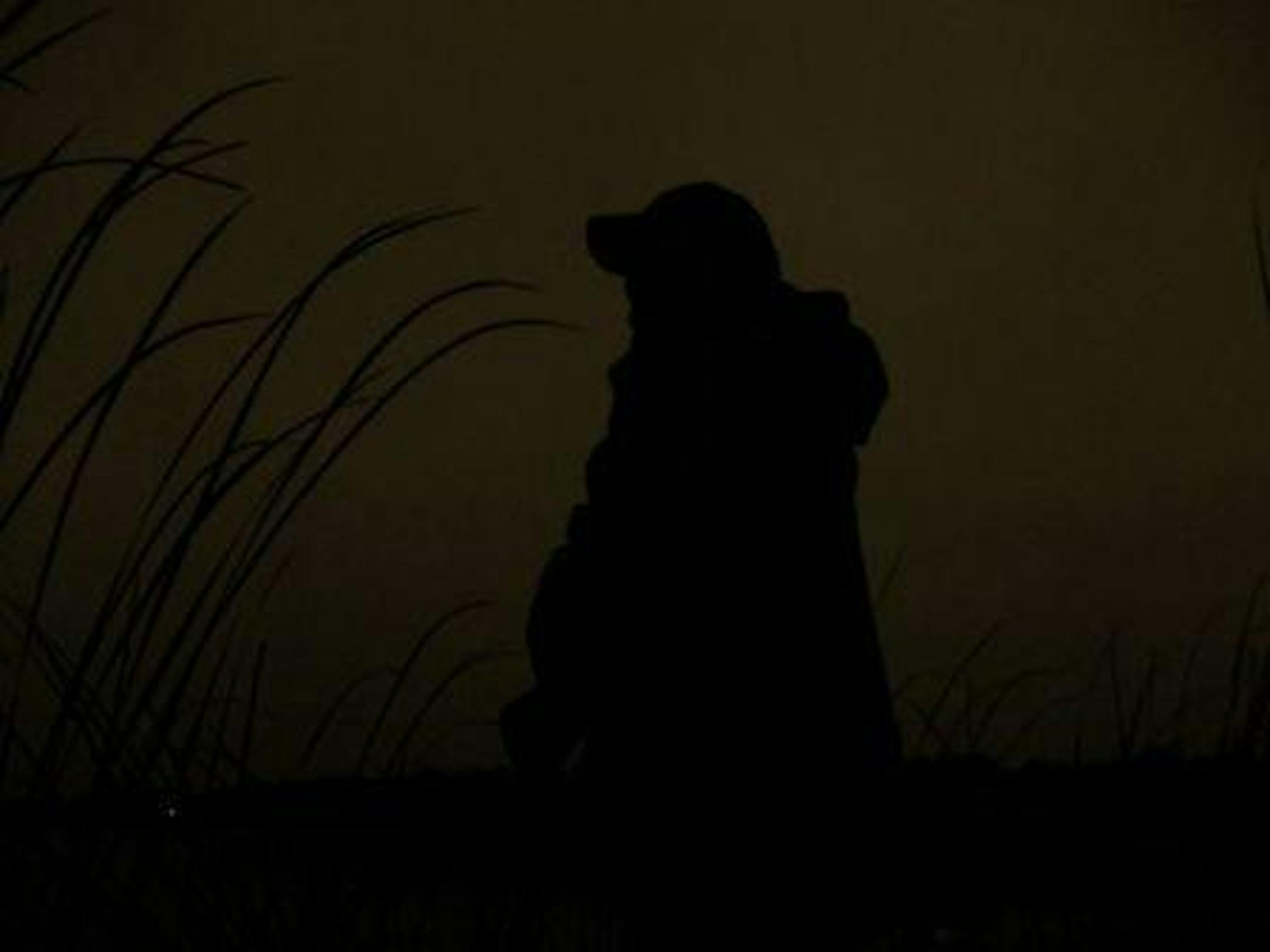 The author patiently awaiting another exciting day in the duck blind.