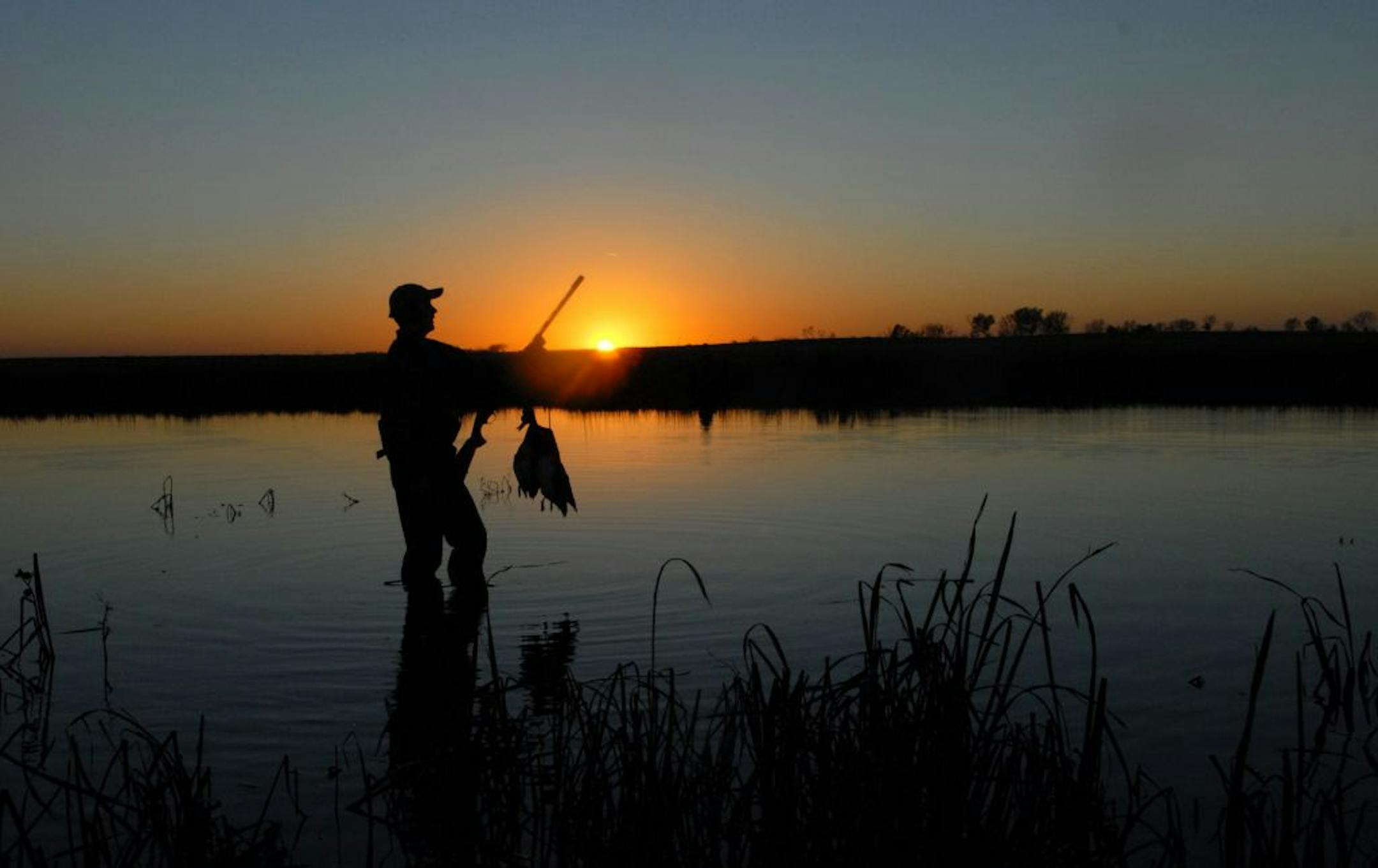 South Dakota waterfowl hunting is enjoyed only by a relative few non-residents, because licenses are awarded by lottery. For those allowed to hunt ducks in South Dakota, seeing waterfowl in the air, bagging a few birds and enjoying prairie susets at day's end are som of the rewards.