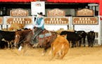 Nancy Burkes quickly took to "cutting" horses, placing sixth last year in the amateur finals of a world championship event.