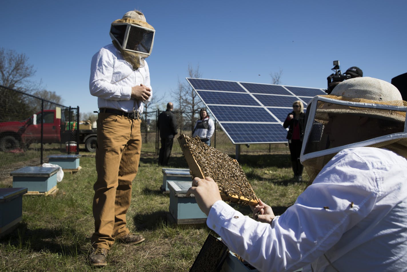 Travis and Chiara Bolton of Bolton Bees, gave a tour of a bee hive placed in the pollinator friendly solar panel field to media and guests at Connexus Energy in Ramsey, Minn.