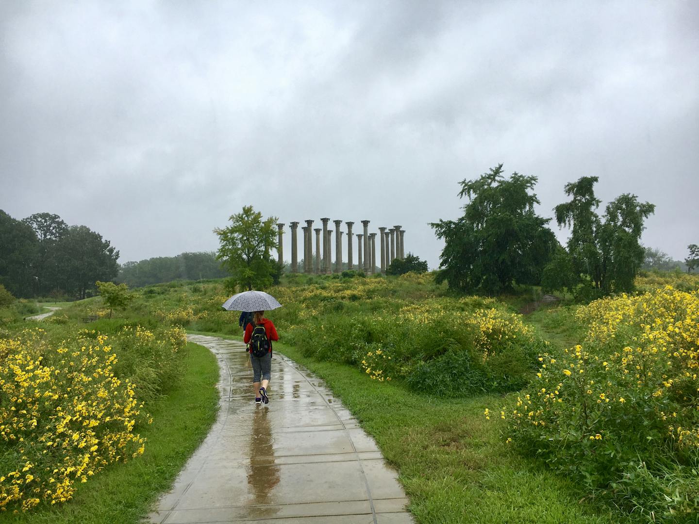 Old Corinthian sandstone columns from the U.S. Capitol now reside at the U.S. National Arboretum. Melanie Radzicki McManus * Special to the Star Tribune