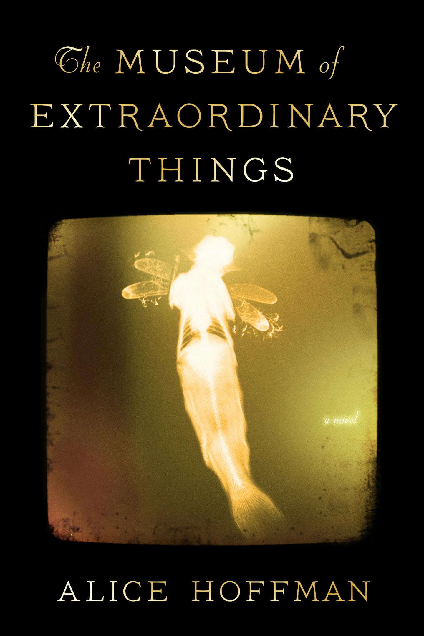 "The Museum of Extraordinary Things," by Alice Hoffman