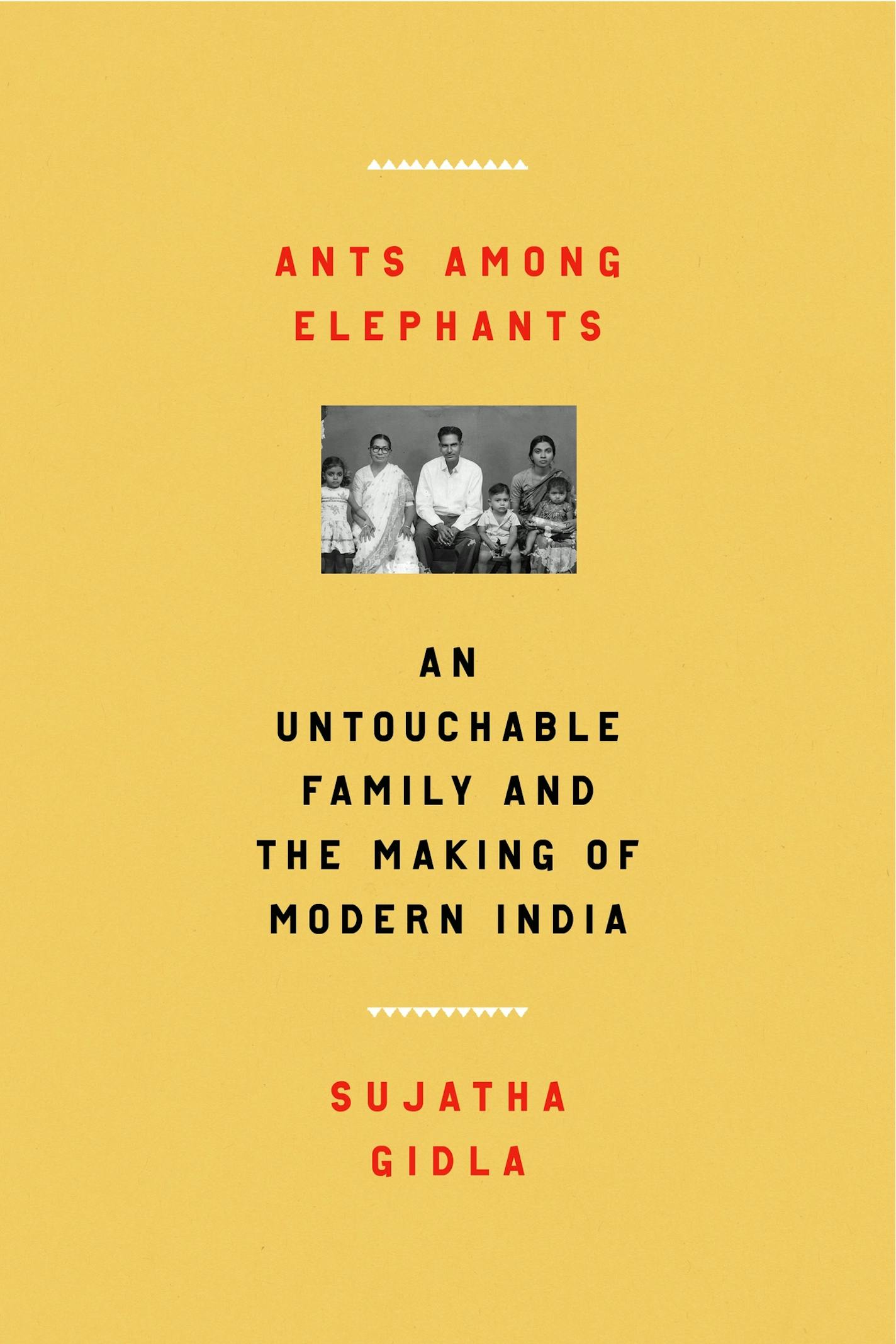 "Ants Among Elephants," by Sujatha Gidla