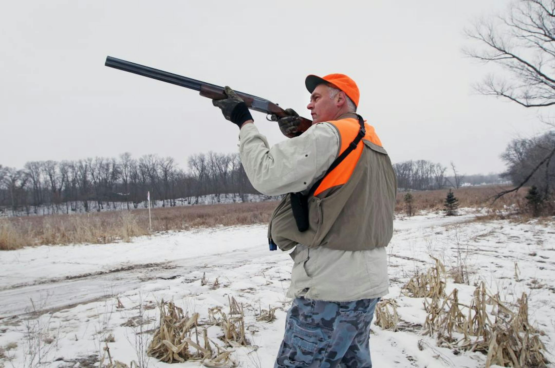 Former Gopher basketball player and 11-year NBA veteran Randy Breuer shot at a pheasant, as he was hunting with Star Tribune outdoors writer Dennis Anderson at the Horse and Hunt Club in Prior Lake on 12/19/12.