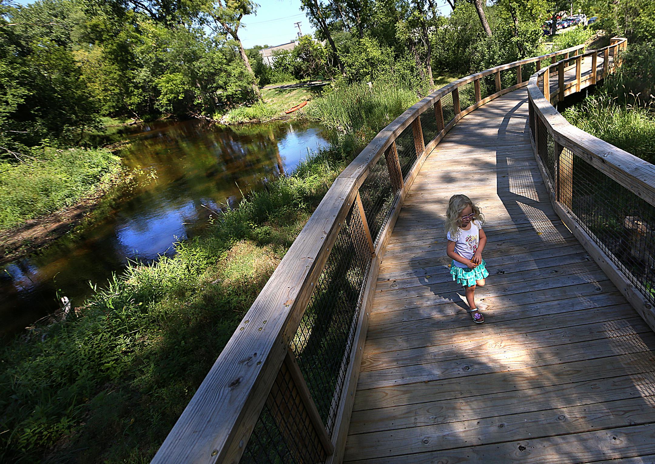 Linnea Anondson, 4 Ω, Hopkins, collected leaves along the new boardwalk at the Minnehaha Creek Preserve at Creekside Park in St. Louis Park. Linnea attended the ribbon cutting ceremony with her father, Eric Anondson. ] JIM GEHRZ ï james.gehrz@startribune.com / St. Louis Park, MN / July 23, 2015 / 11:00 AM ñ BACKGROUND INFORMATION: The final section of cleaned-up Minnehaha Creek in St. Louis Park is opening, completing a three-year rebuild of the creek in St. Louis Park and Hopki