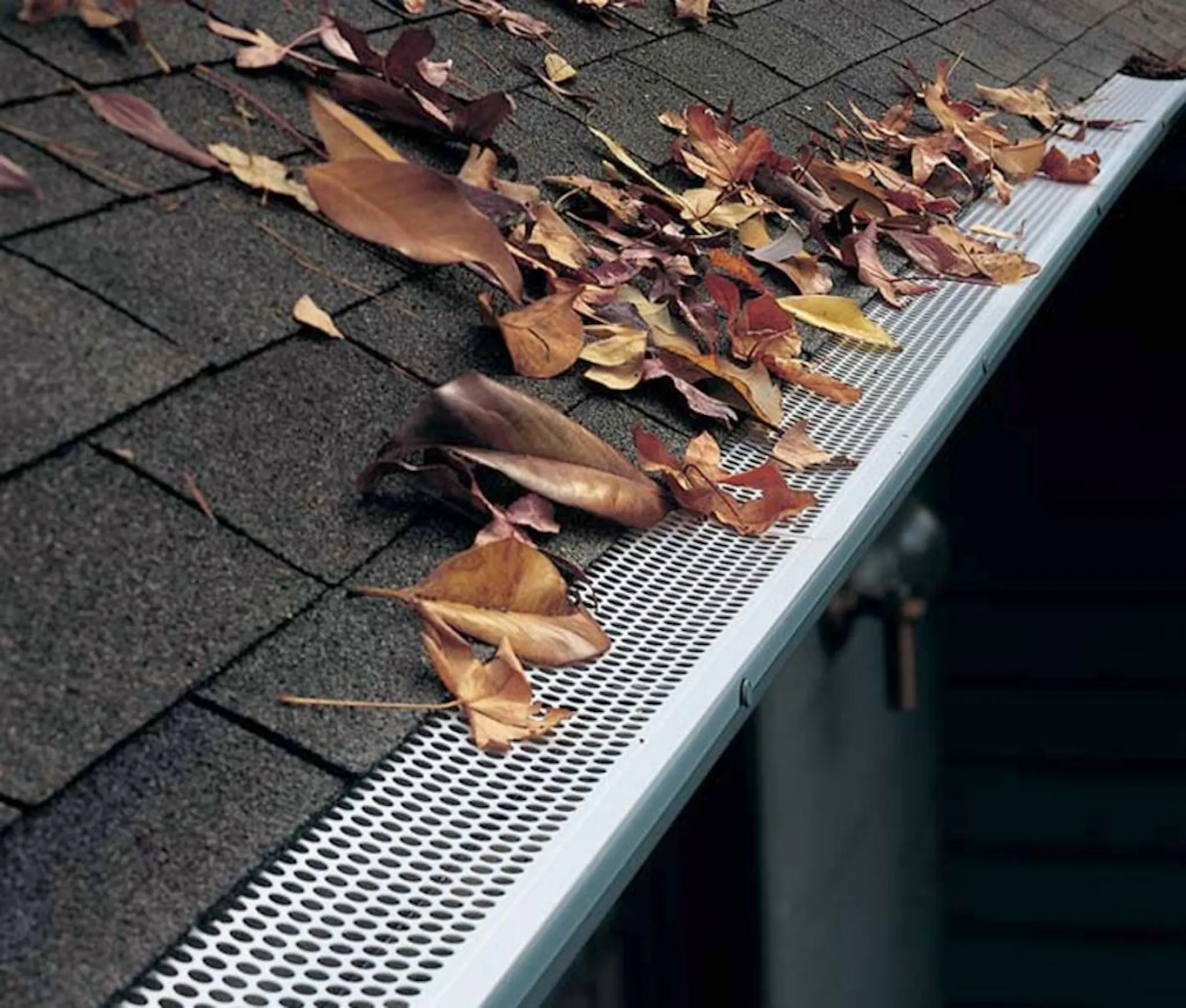 Mind your gutters
