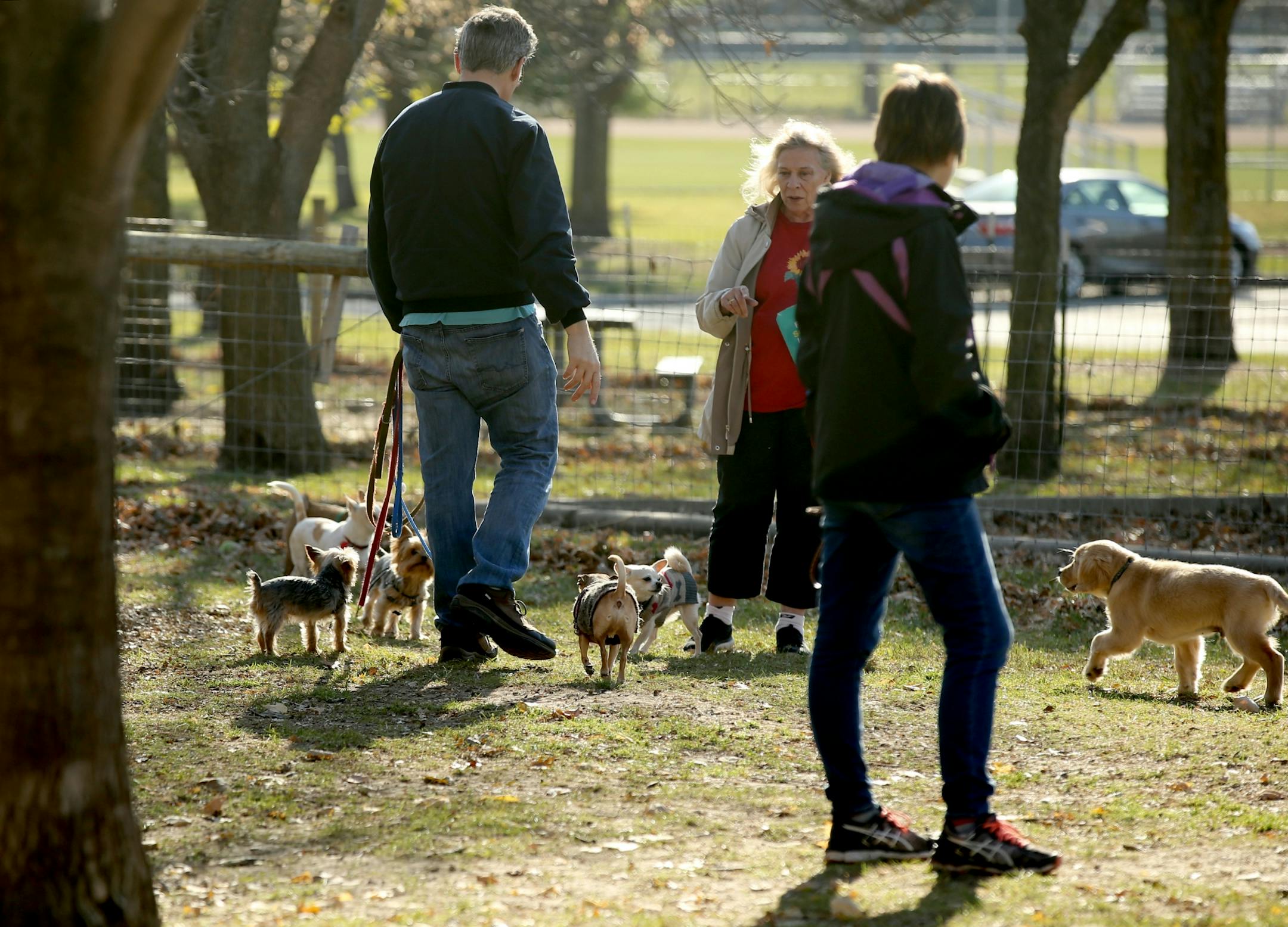 Humans and dogs mingled at Alimagnet dog park Friday, Nov. 2, 2018, in Burnsville, MN.