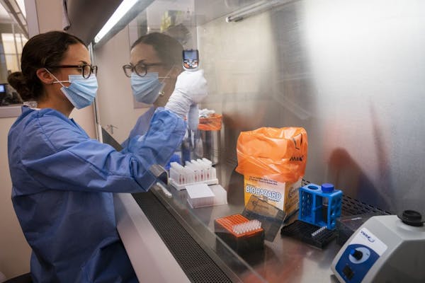 In the seven days ending Friday, the Minnesota Health Department reported more than 8,500 new lab-confirmed infections and 91 COVID-19 deaths. The sta