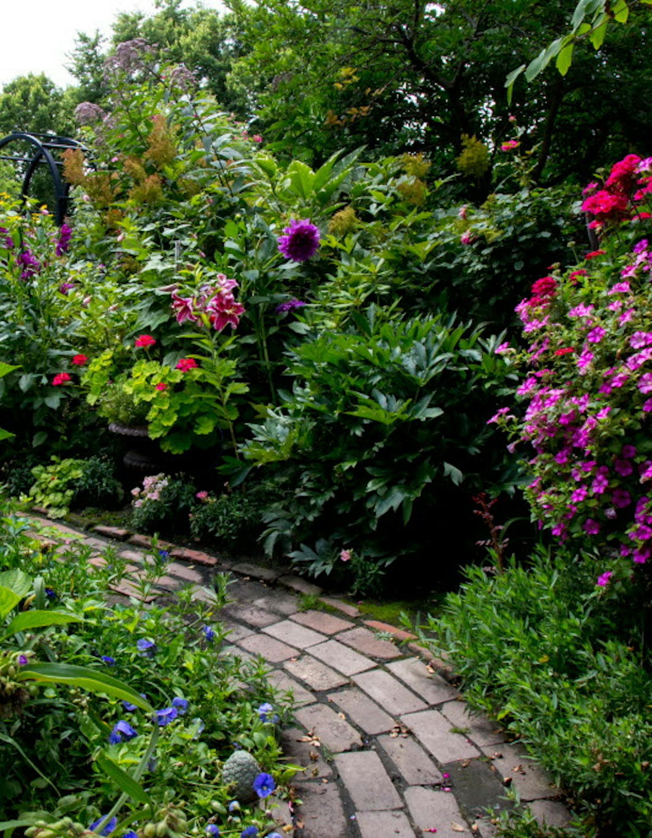 A discovered brick path by the carriage house cuts through the four square color garden at Shari Wilsey’s St. Paul home. ] COURTNEY PEDROZA • courtney.pedroza@startribune.com; Shari Wilsey garden’s at her home on St. Paul's historic Summit Avenue; 08/01/2017; St. Paul;