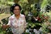 Catherine Navalta Japanese-inspired garden won top honors in New Hope's suburban home awards. Catherine is a born caregiver. She is a registered nurse