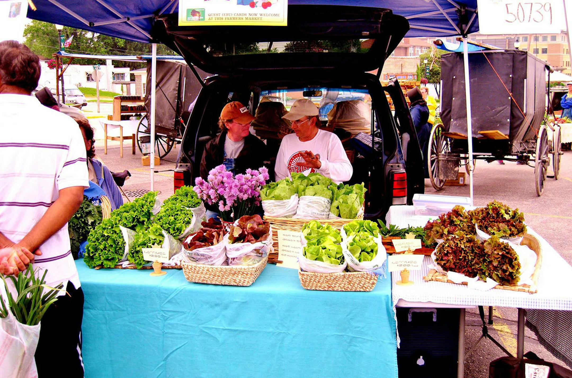 Ella Bella Farms offered up beautiful lettuces, while Amish vendors sold goods beside their buggies, which act as a kind of advertisement, at the Viroqua Farmers Market in Viroqua, Wis. Photo courtesy of Viroqua Farmers Market