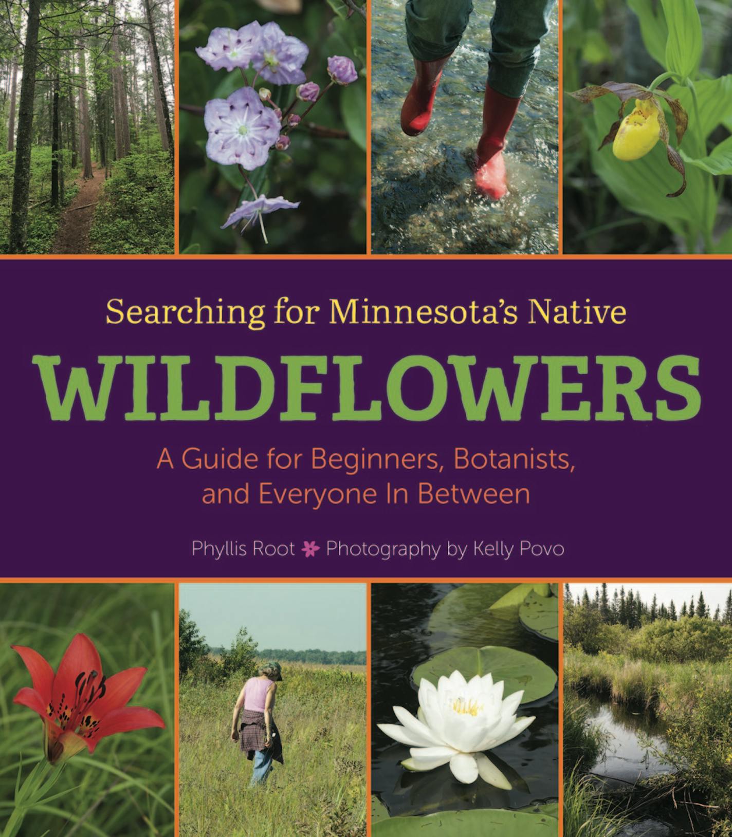 "Searching for Minnesota's Native Wildflowers" walks readers through the year, detailing where and when to look for certain plants.