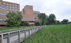 The transformation from a storm-water "ditch" to a revived Minnehaha Creek, adjacent wetlands and other "greening" of the Methodist Hospital campus in