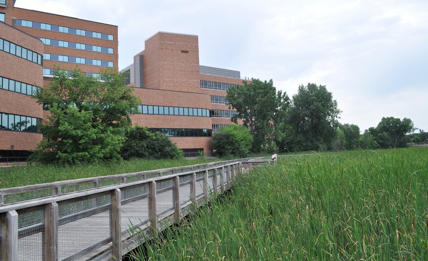 The transformation from a storm-water "ditch" to a revived Minnehaha Creek, adjacent wetlands and other "greening" of the Methodist Hospital campus in St. Louis Park over the last decade is indicative of trends in the commercial landscaping business. Photo: Minnehaha Creek Watershed District