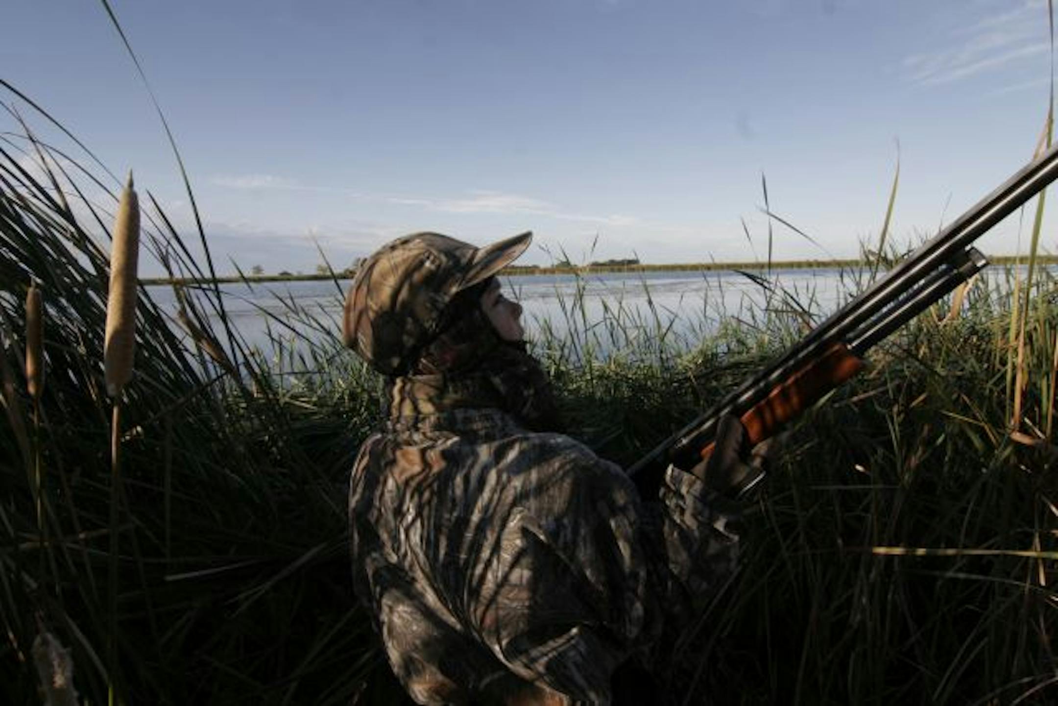 Doug Smith/Star Tribune/Sept. 18, 2010, near Morris, Mn.
Jared Otterstatter, 12, of Redwood Falls, Minn., watched ducks circle over a slough he was hunting during Saturday's Youth Waterfowl Day. He, along with his dad, Mike, was on a special mentored hunt where first-time duck hunters are paired with experienced duck hunters, who teach them the ropes.