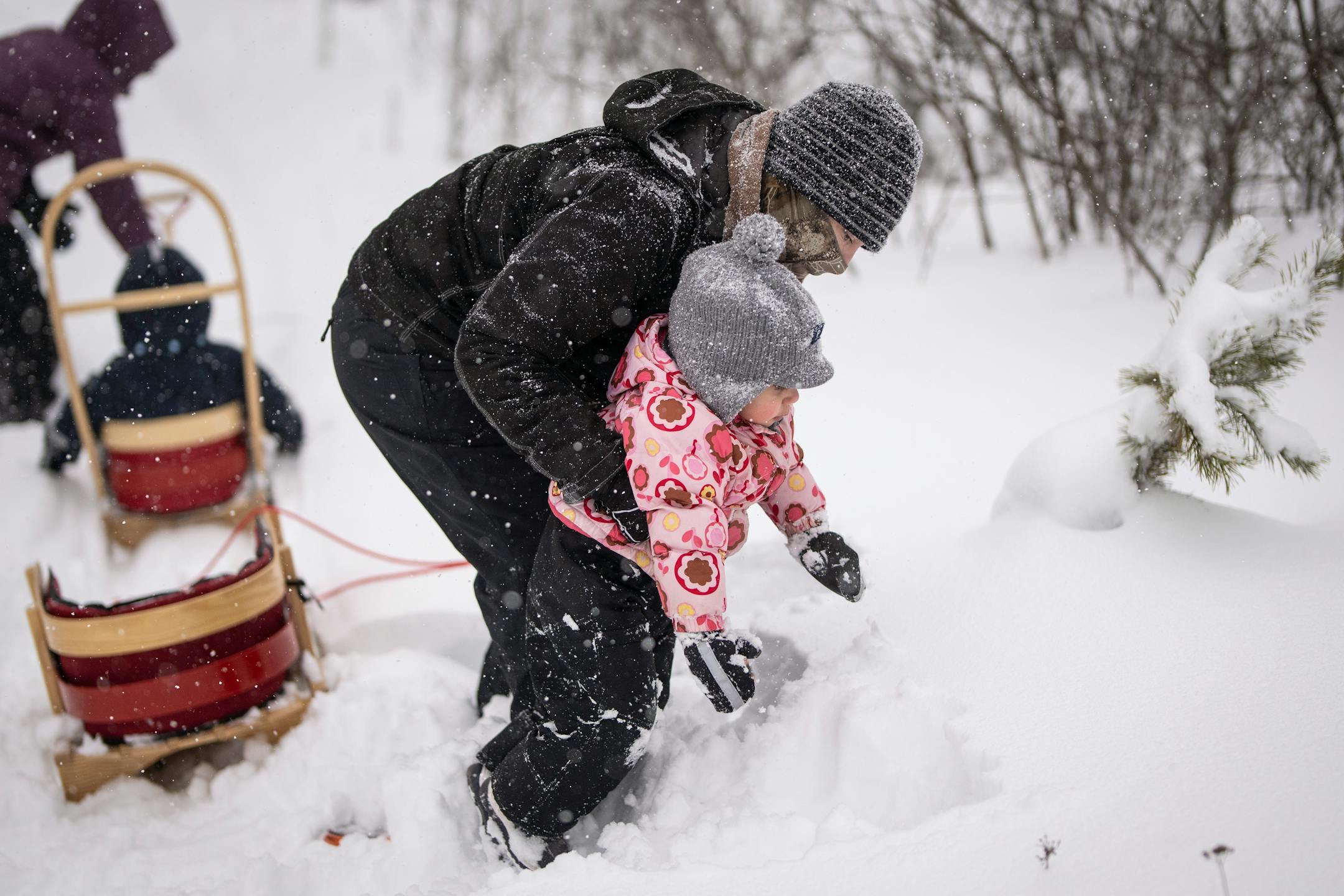 Friends, Family and Neighbor (FFN) intern Niizhoodewii Denomie picks up Giiwitaa-gizhig Miles Trimble while snowshoeing with a group of moms and children as they check on rabbit snares as part of the Ojibwe immersion program.