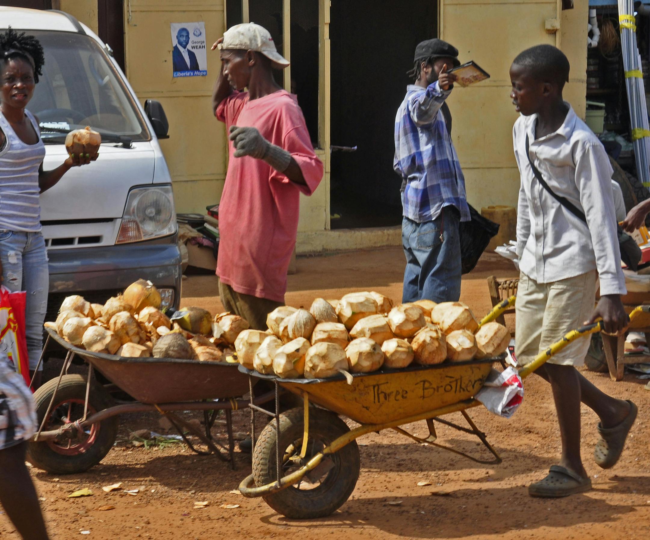 Vendors sell fresh coconuts in the Liberian capital of Monrovia, and they reported high sales, as it is believed by Liberians that drinking coconut milk prevents stomach flu associated with the deadly Ebola virus, Tuesday, Aug. 5, 2014. A second American aid worker infected with Ebola arrived Tuesday in Atlanta, where doctors will closely monitor the effect of an experimental drug she agreed to take even though its safety was never tested on humans. Nancy Writebol arrived from Monrovia, Liberia,