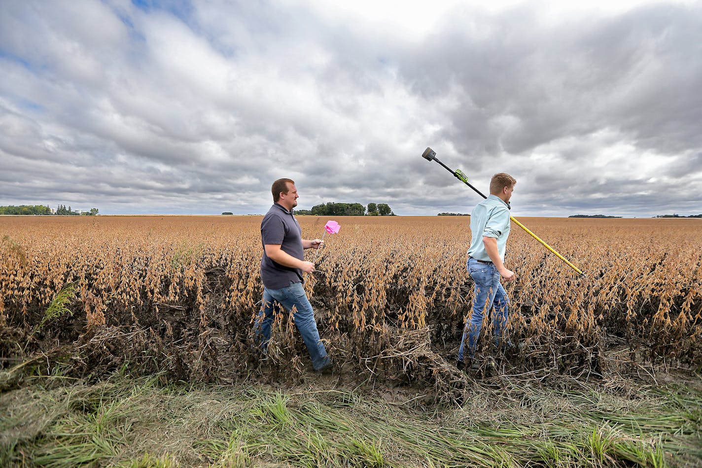 Water Conservation District Technicians, James Fett, left, and Aaron Gamm measured part of Joe Merten's soybean field near Orchard Creek that next year must be planted with grasses as part of the state's new buffer strip law,