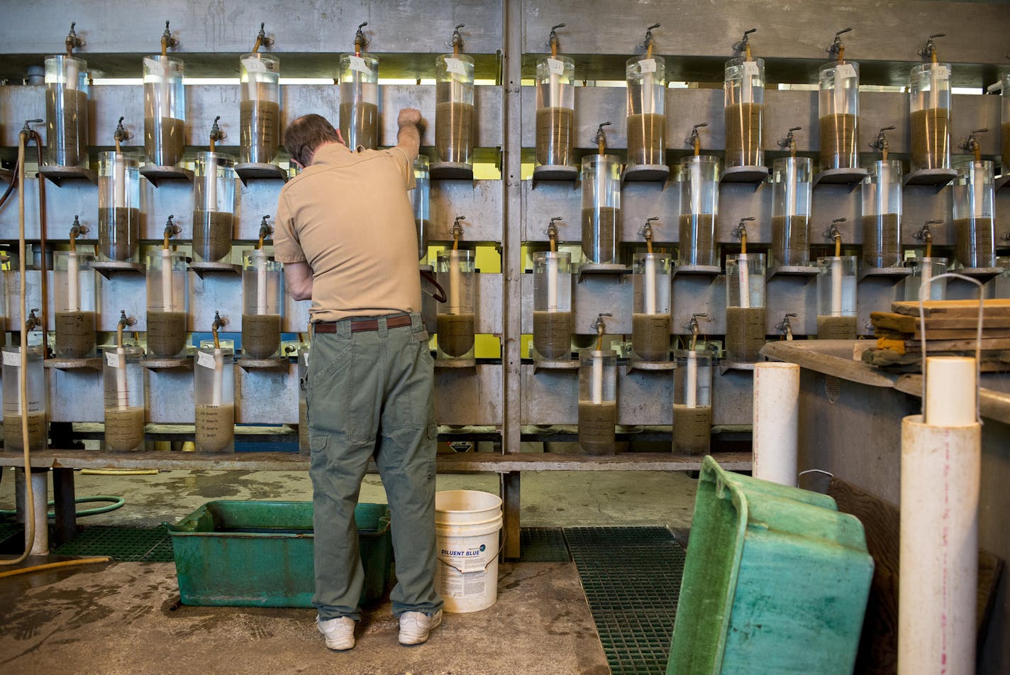 Hatchery specialist Donn Schrader removes dead eggs from dozens of jars of growing walleye eggs. The dead eggs are removed to help prevent fungi from growing and to keep the live eggs healthy. ] BRIDGET BENNETT SPECIAL TO THE STAR TRIBUNE &#x2022; bridget.bennett@startibune.com The dead eggs are removed to help prevent fungi from growing and to keep the live eggs healthy. There are close to 250,000 eggs in each jar. at the St. Paul Fish Hatchery in St. Paul, MN on April 28, 2015. Hatchery specia