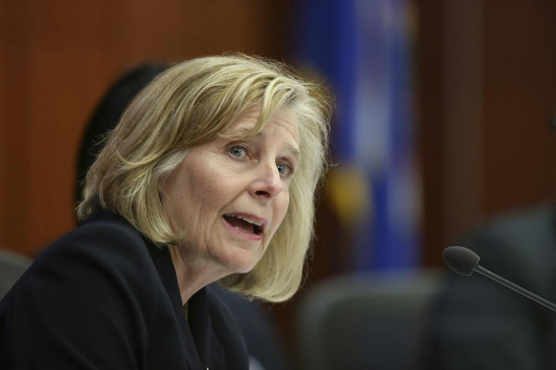 Susan Haigh, chair of the Metropolitan Council.