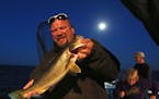 Travis Koster, Twin Pines Resort boat captain and fishing guide holds up a 21 1/2 inch walleye that was released Wednesday, July 29, 2015, caught by c