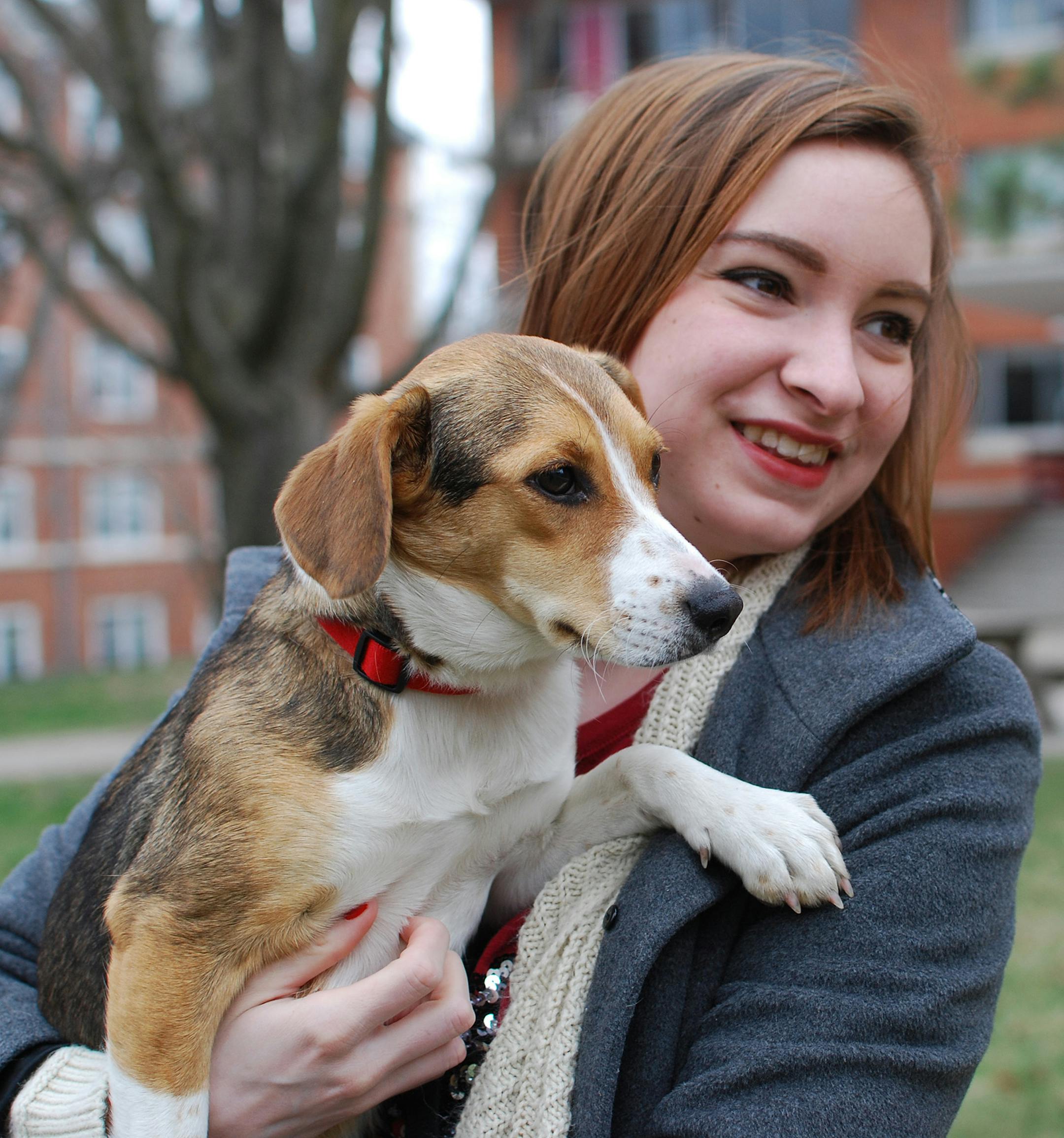 Molly Wallace, a sophomore at Stephens College in COlumbia, describes her foster beagle mix Daisy as "the best roommate ever." (Darby Jones/Stephens College)
