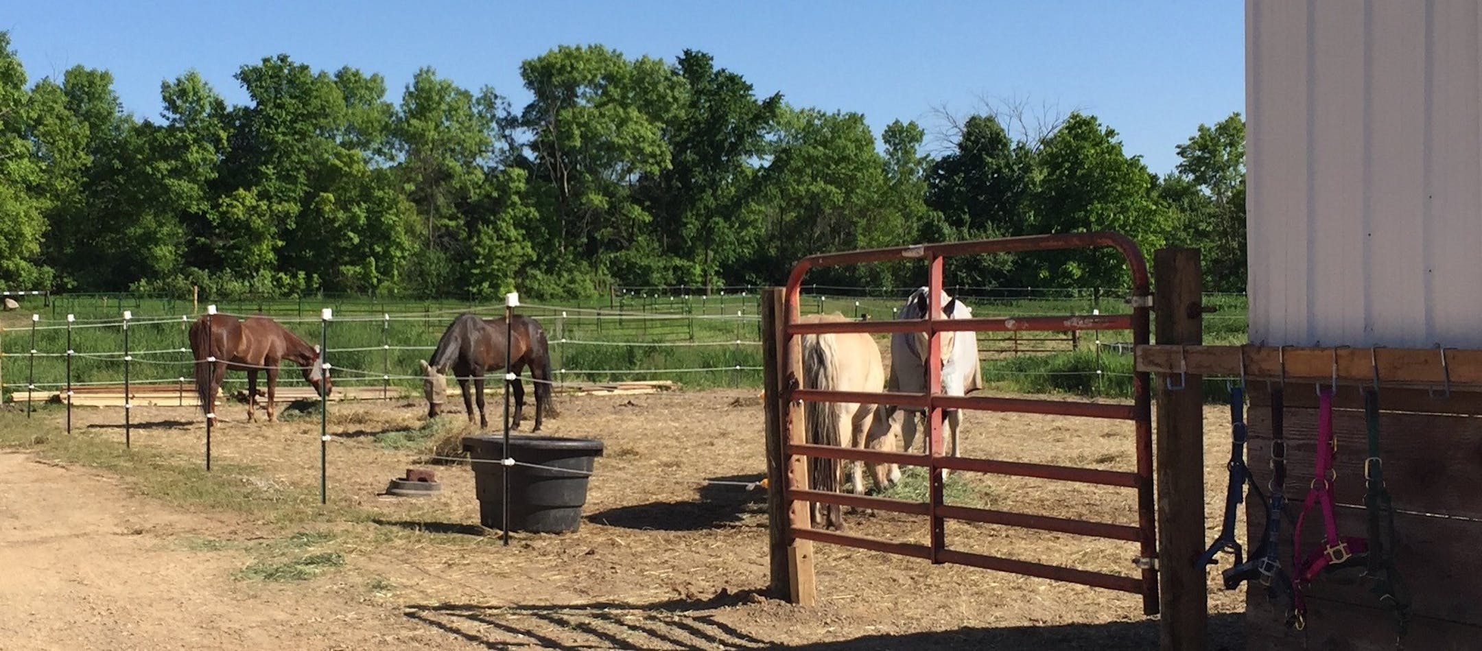 The We Can Ride therapeutic horseback riding program left its home of 35 years in Minnetonka and recently moved to Medina.