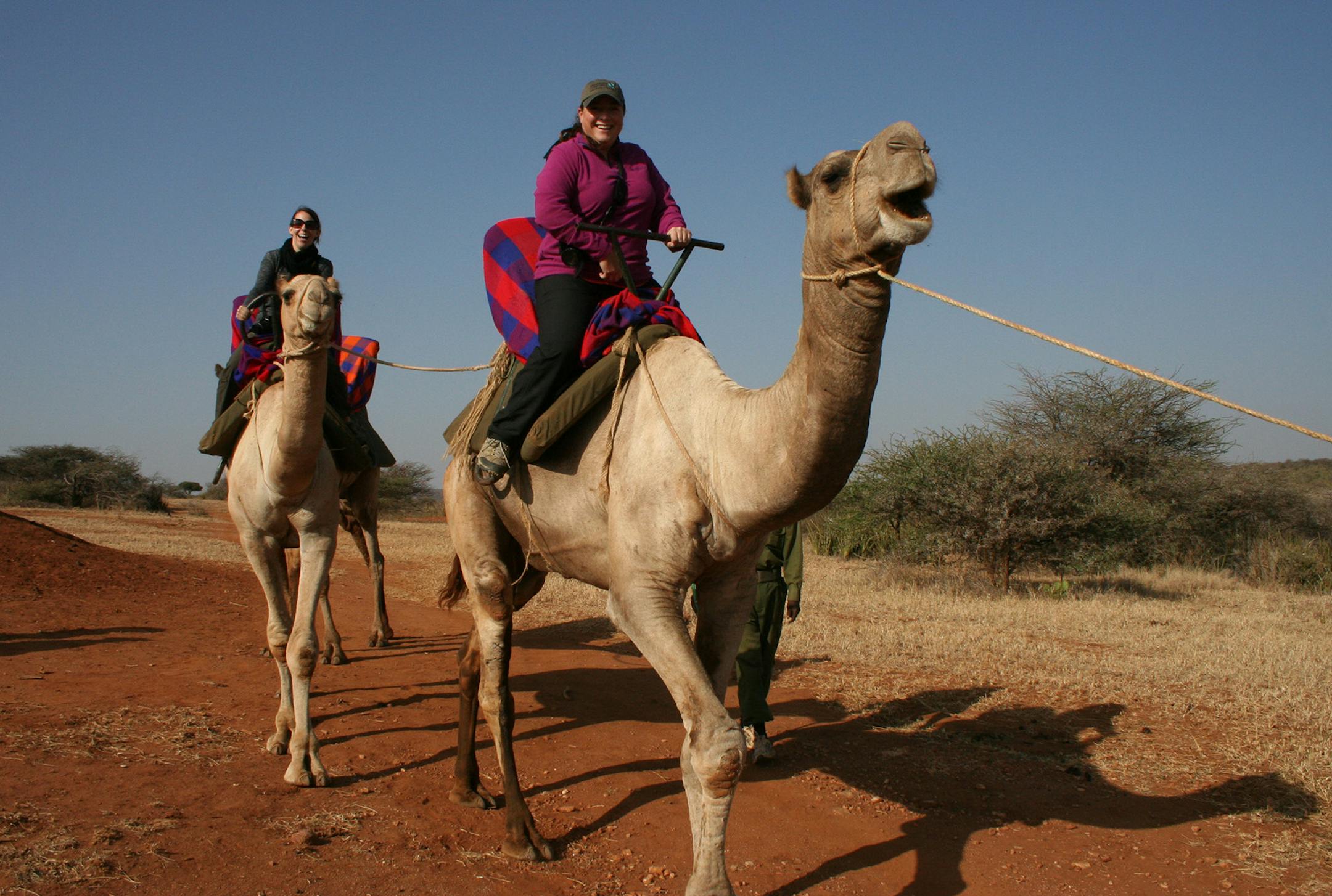 Among the wildlife at Loisaba are lion, leopard, elephant, hippo, cheetah and giraffe. Birdlife, numbering about 260 species, provide the dawn chorus wake-up call. (Mary Ann Anderson/TNS)