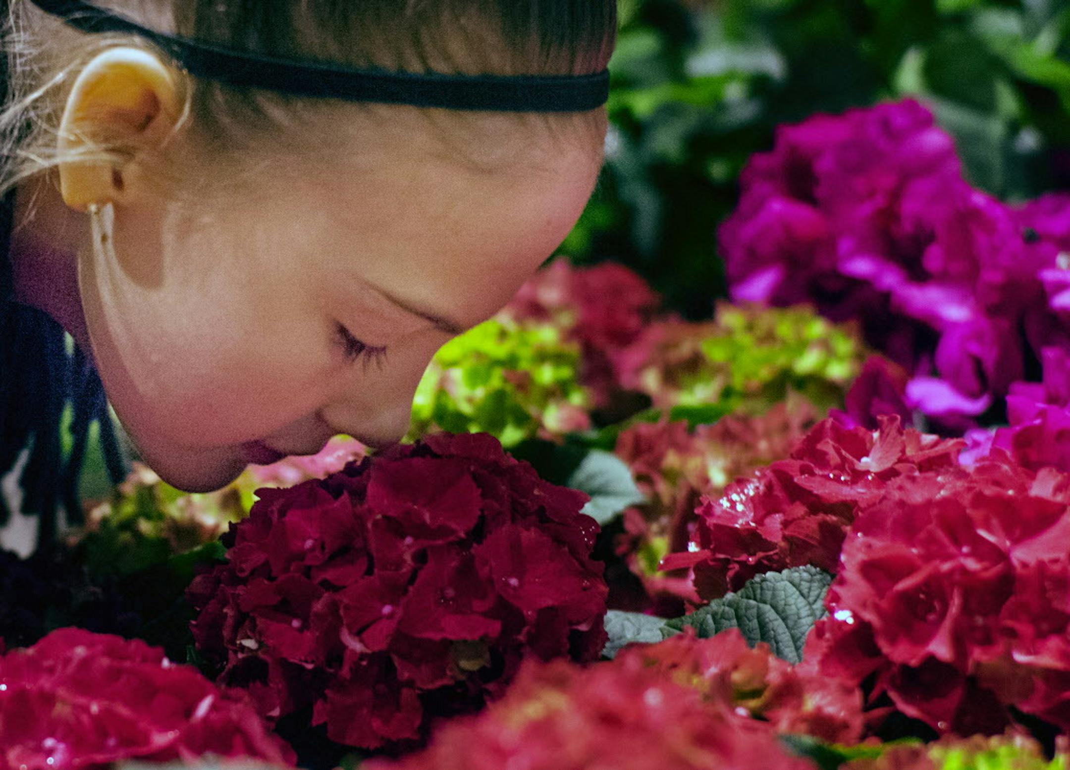 Maretta VanBeck(cq), 11, of Freeport checked out some many of the flowers at a very close distance.] Today was the opening day of Macy's "America the Beautiful Flower Show" in downtown Minneapolis which featured flowers and plants from different parts of the United States.Richard Tsong-Taatarii/rtsong-taatarii@startribune.com