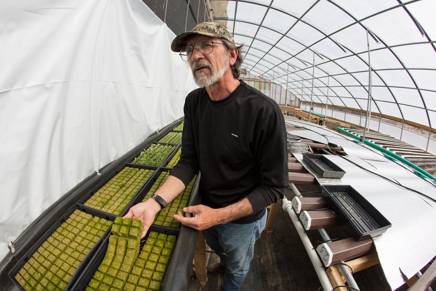 Barry Thoele is the owner of Barry's Cherries, a hydroponic farm near Staples that raises and sells romaine lettuce, kale, spinich, pea pods, cherry tomatoes, cucumbers, strawberries and other produce. The increasing consumer interest in locally-grown foods has caused food hubs to pop up in half a dozen communities in Minnesota. ] Brainerd, MN - 4/13/2015