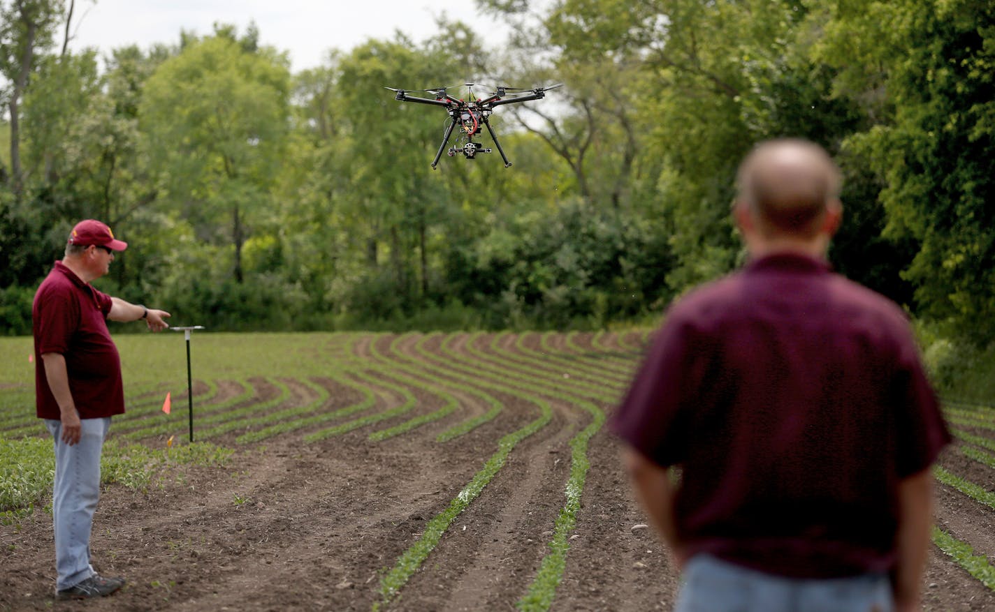 Tim Baker, senior field technician of at Northwest research and outreach center, right and Ian MacRae, U professor and extension entomologist, watched as their drone landed in the field in the wrong location. ] (KYNDELL HARKNESS/STAR TRIBUNE) kyndell.harkness@startribune.com University of Minnesota researchers are testing how well drones, or unmanned aircraft systems, detect insects like soybean aphids and potato beetles. in Rosemount, Min., Thursday, July 7, 2015. ORG XMIT: MIN1507071424260148