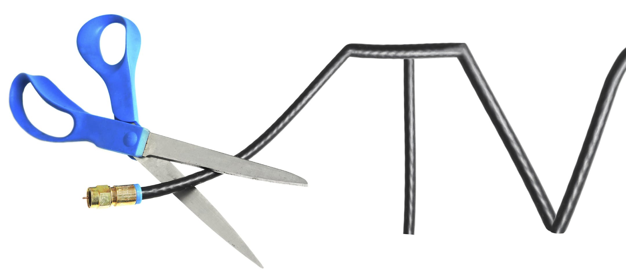 iStockphoto.com