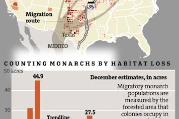 Monarch highway