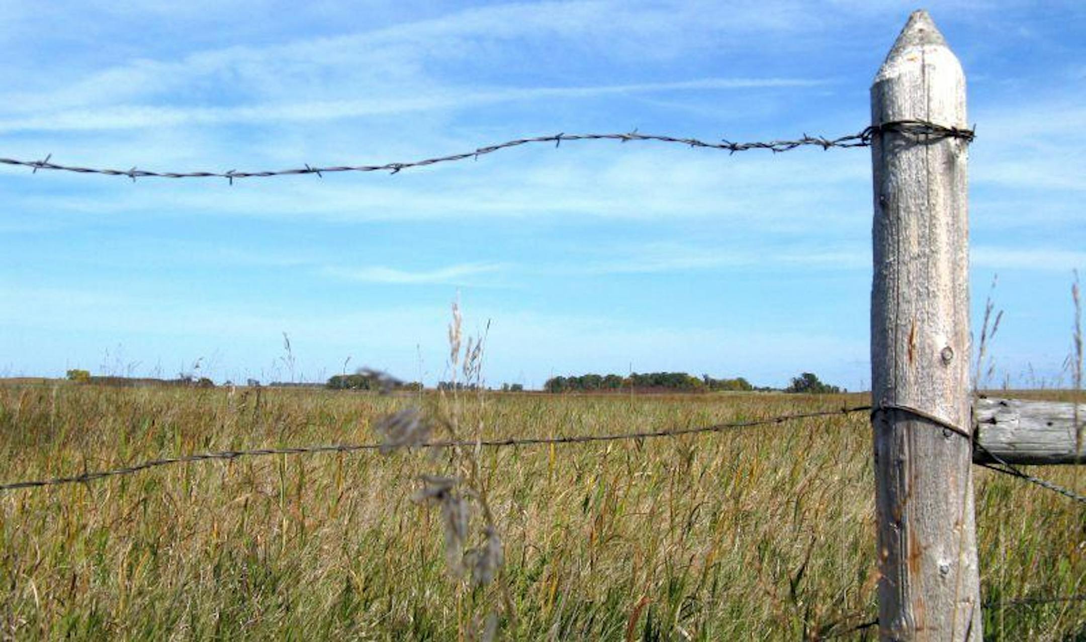 Please obey trespassing laws this opener. One pheasant hunting trespasser will ruin it for the rest of us forever in the mind of a landowner.