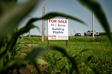 Farmland for sale in Silver Lake, MN., along Highway 7.