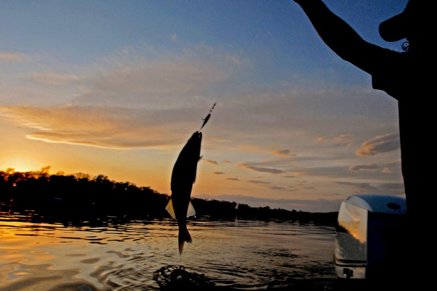 Mille Lacs sport anglers, with Gov. Dayton's and the DNR's blessing, exceeded their walleye harvest limit this summer &#xf3; a quota that had been negotiated with eight Chippewa bands. ORG XMIT: MIN2012111614540114