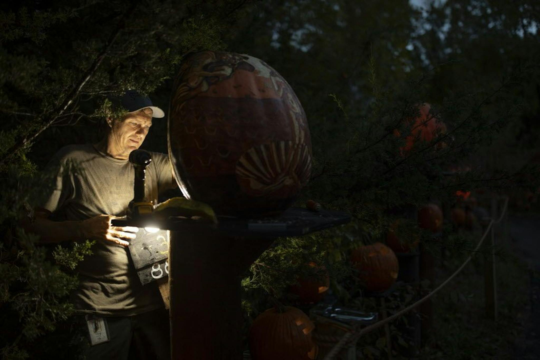 As darkness fell, Travis Reckner mounted and LED light source onto the back of one of the 127 "intricate" carved pumpkins scattered along the trail. It can take as long as eight hours to carve the more elaborate pumpkins.