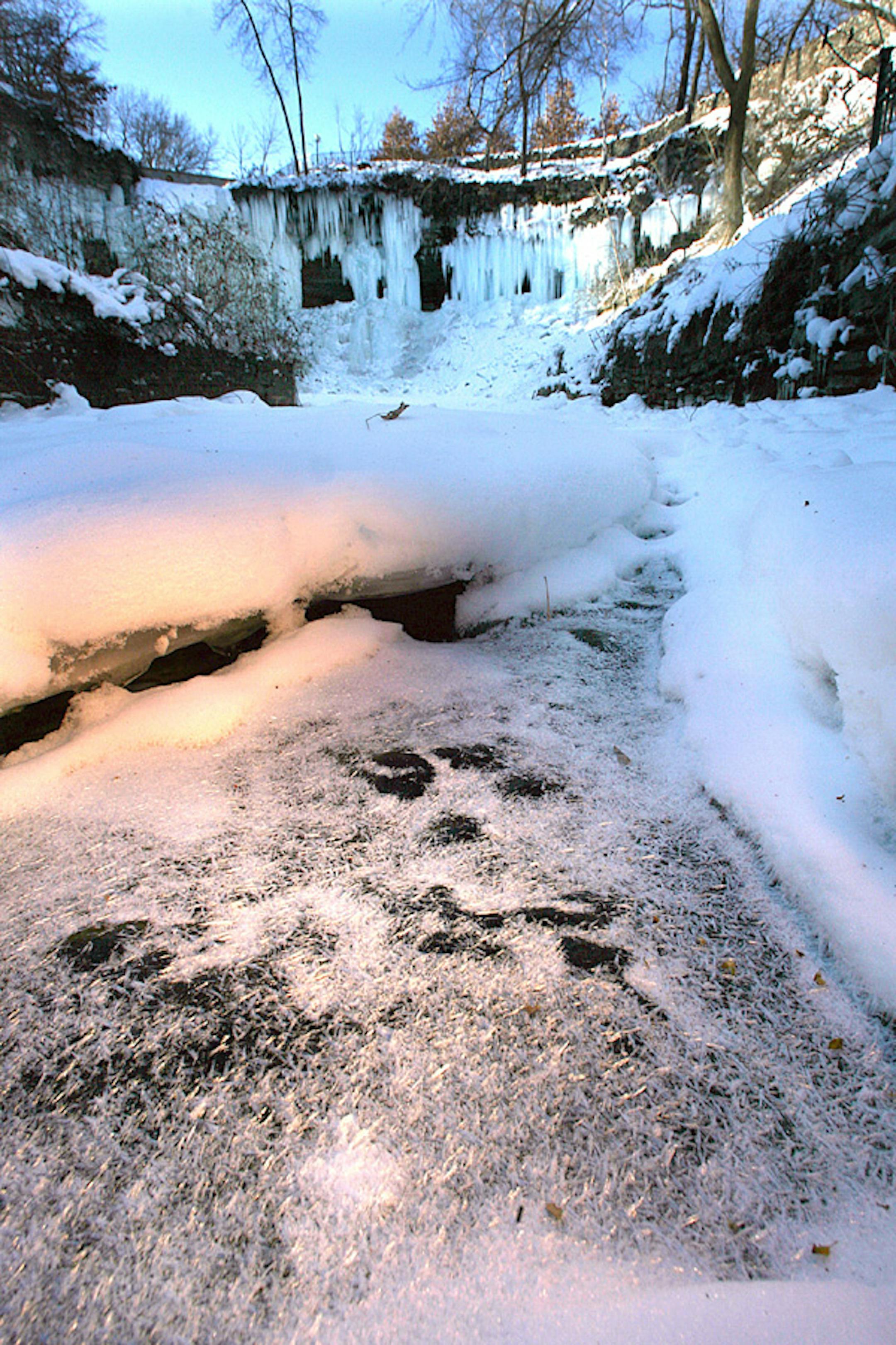 While Minnehaha Falls appeared to be stilled by the cold, frigid waters continued to run beneath the ice that has formed on Minnehaha Creek below. About $7 million is set aside to help with Minnehaha Falls Park renovation.