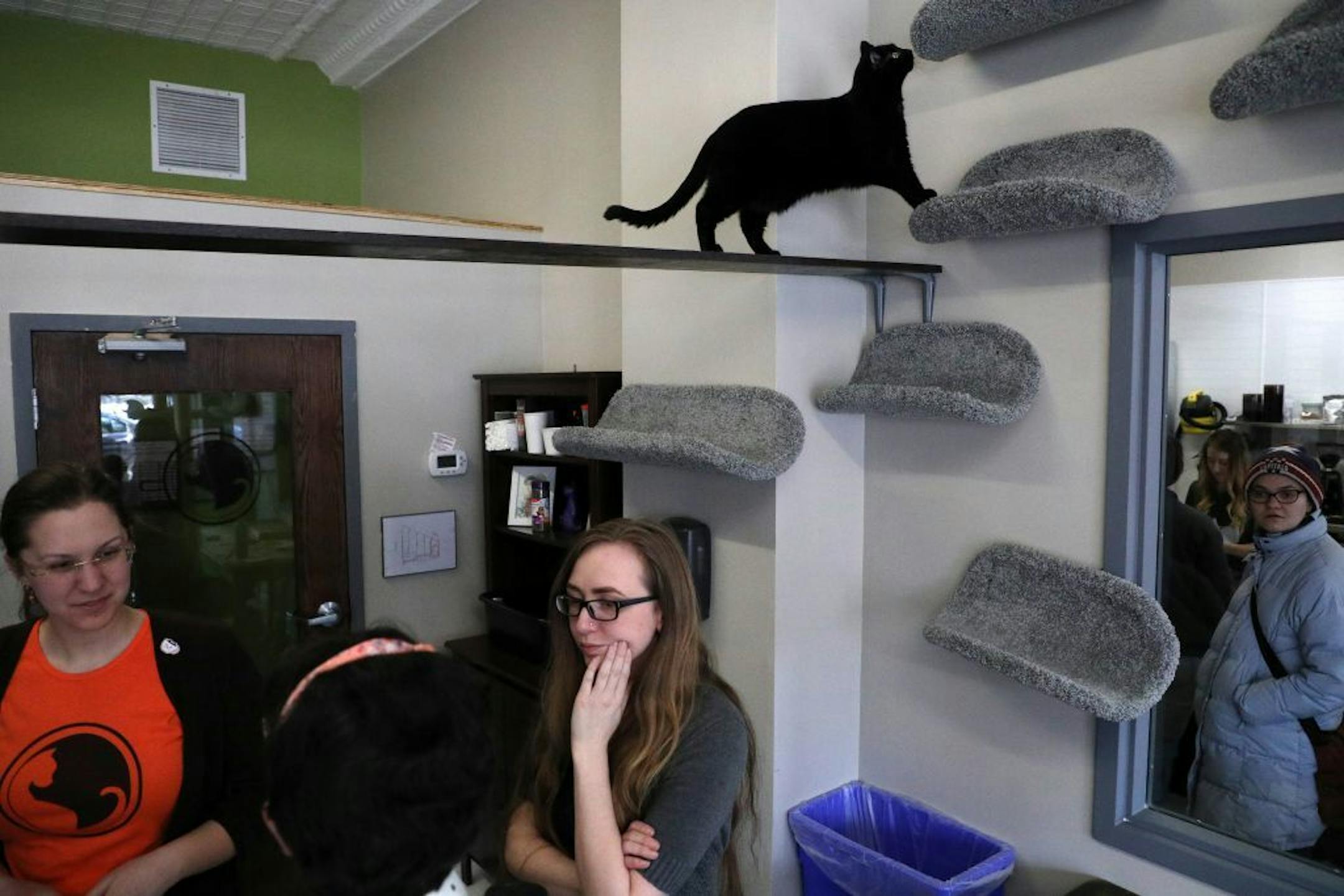 Owner Danielle Rasmussen, center, talked with guests as Frankie the cat wandered between perches above Friday afternoon at The Cafe Meow.