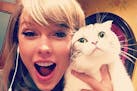 Taylor Swift posts many cat photos on Instagram.