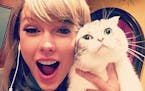 Taylor Swift posts many cat photos on Instagram.