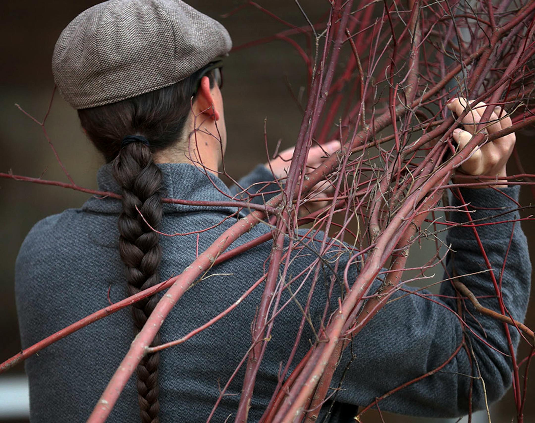 Elliot Christensen, tobacco prevention coordinator for Lower Sioux Community, carries red willow limbs to the community center.
