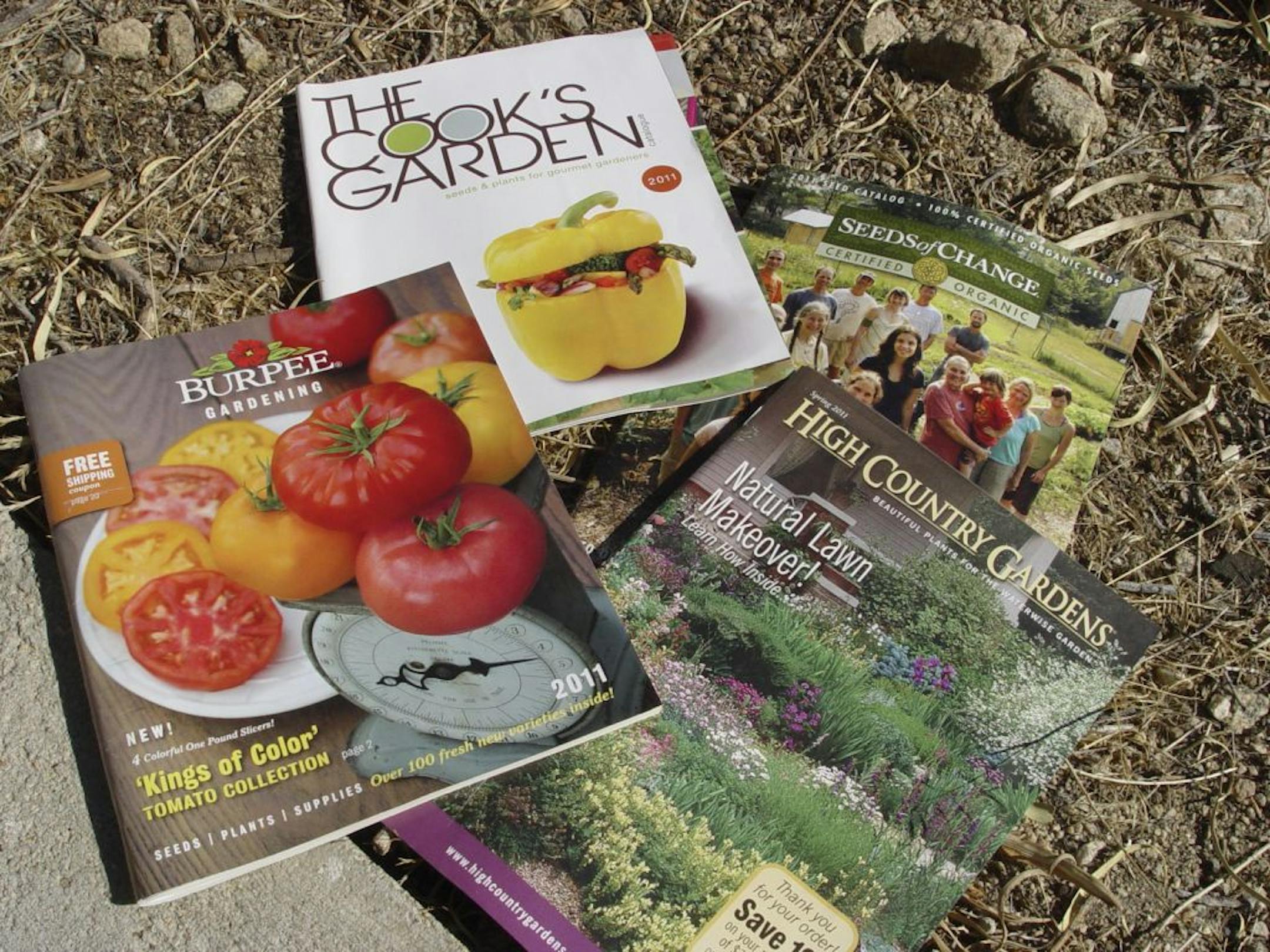 Pick a seed catalog that matches your gardening preferences and has options suitable for your zone.