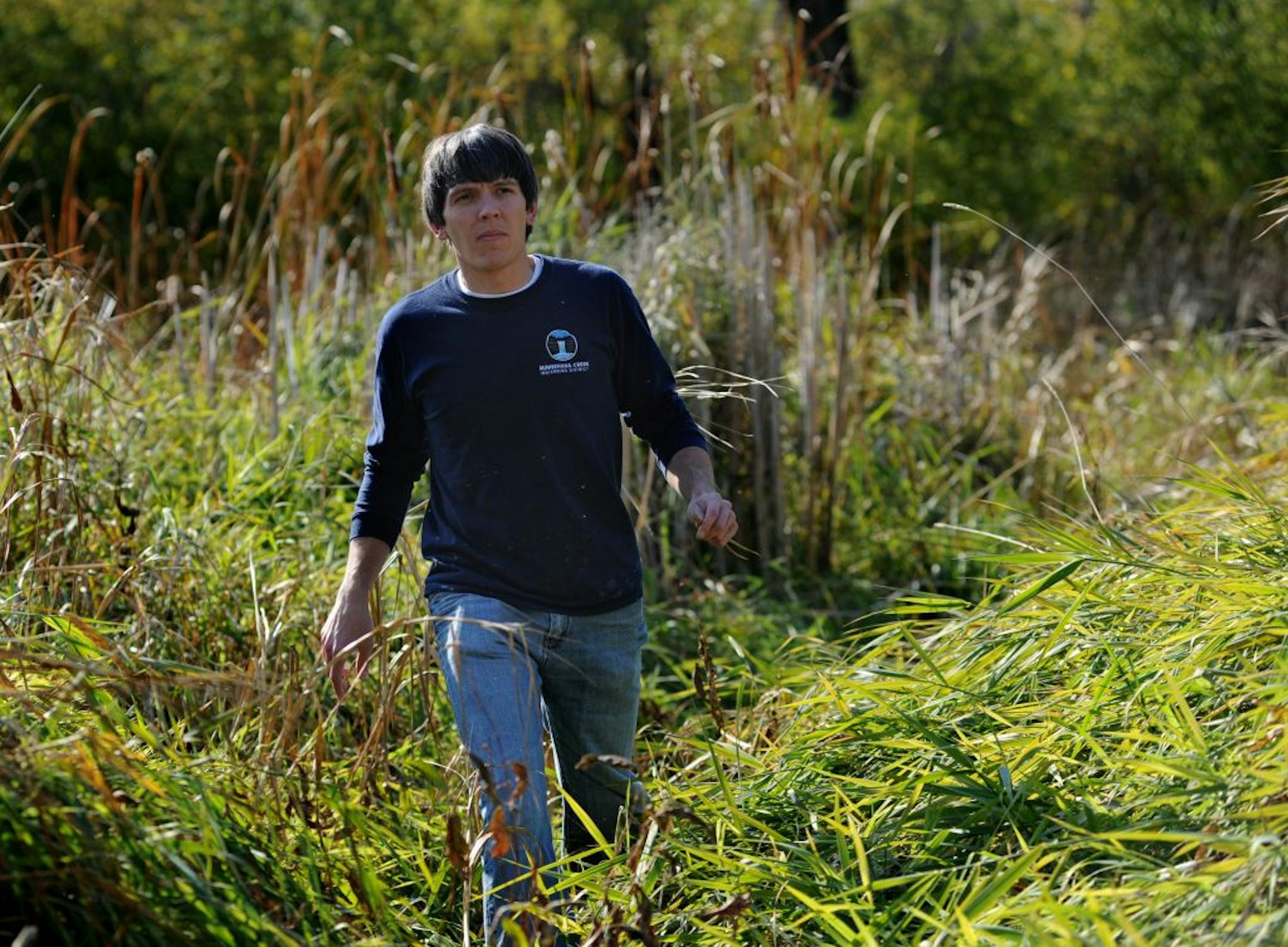 The Minnehaha Creek Watershed District will begin restoring the most degraded part of the Minnehaha Creek next month near Louisiana Avenue in St. Louis Park. Michael Hayman of the Minnehaha Creek Watershed District walked along a marshy area of creek near Park Nicollet Methodist Hospital .
