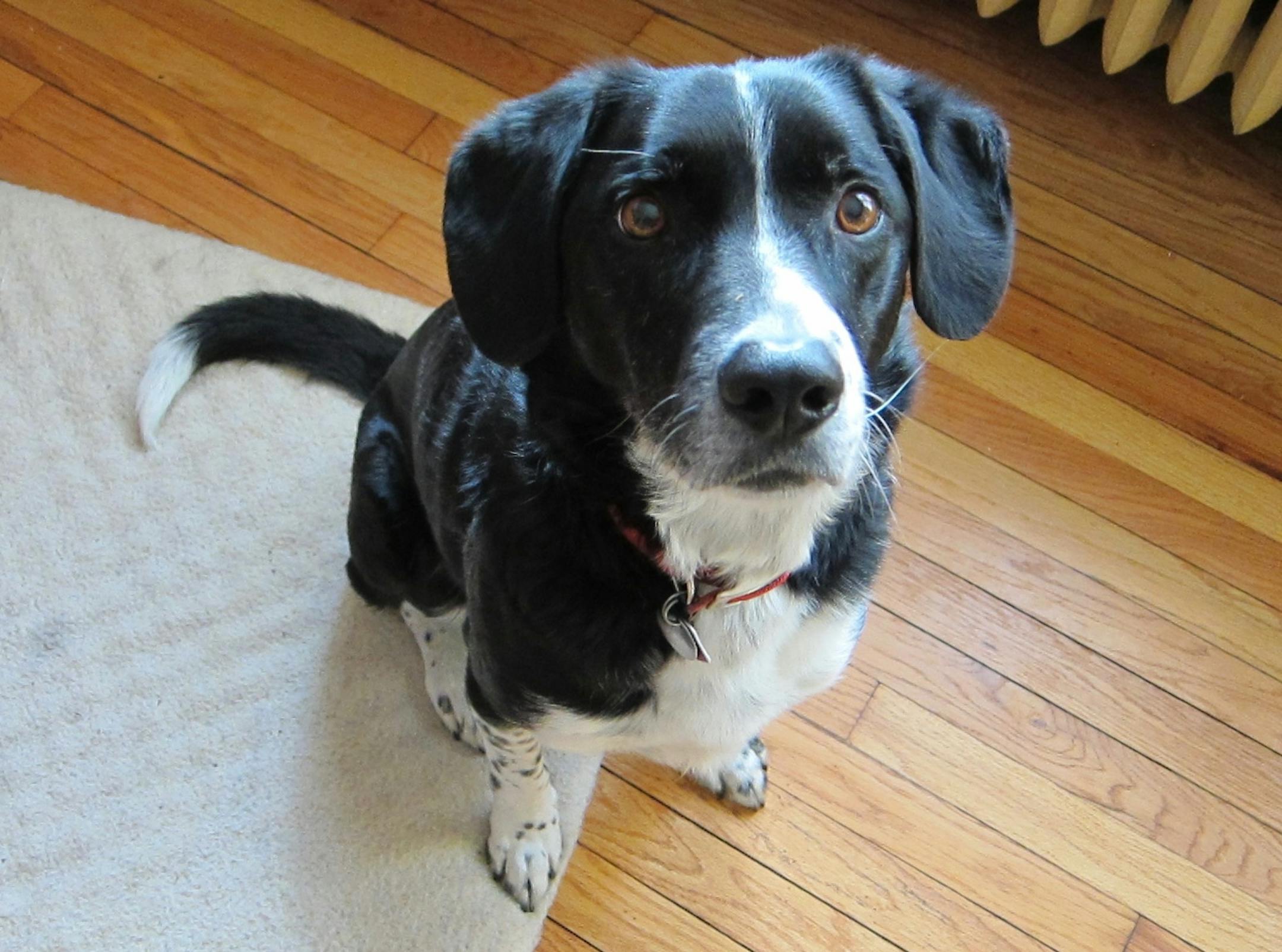 Riley never lost his impassive expression — was it anxiety? Urgency? Love?