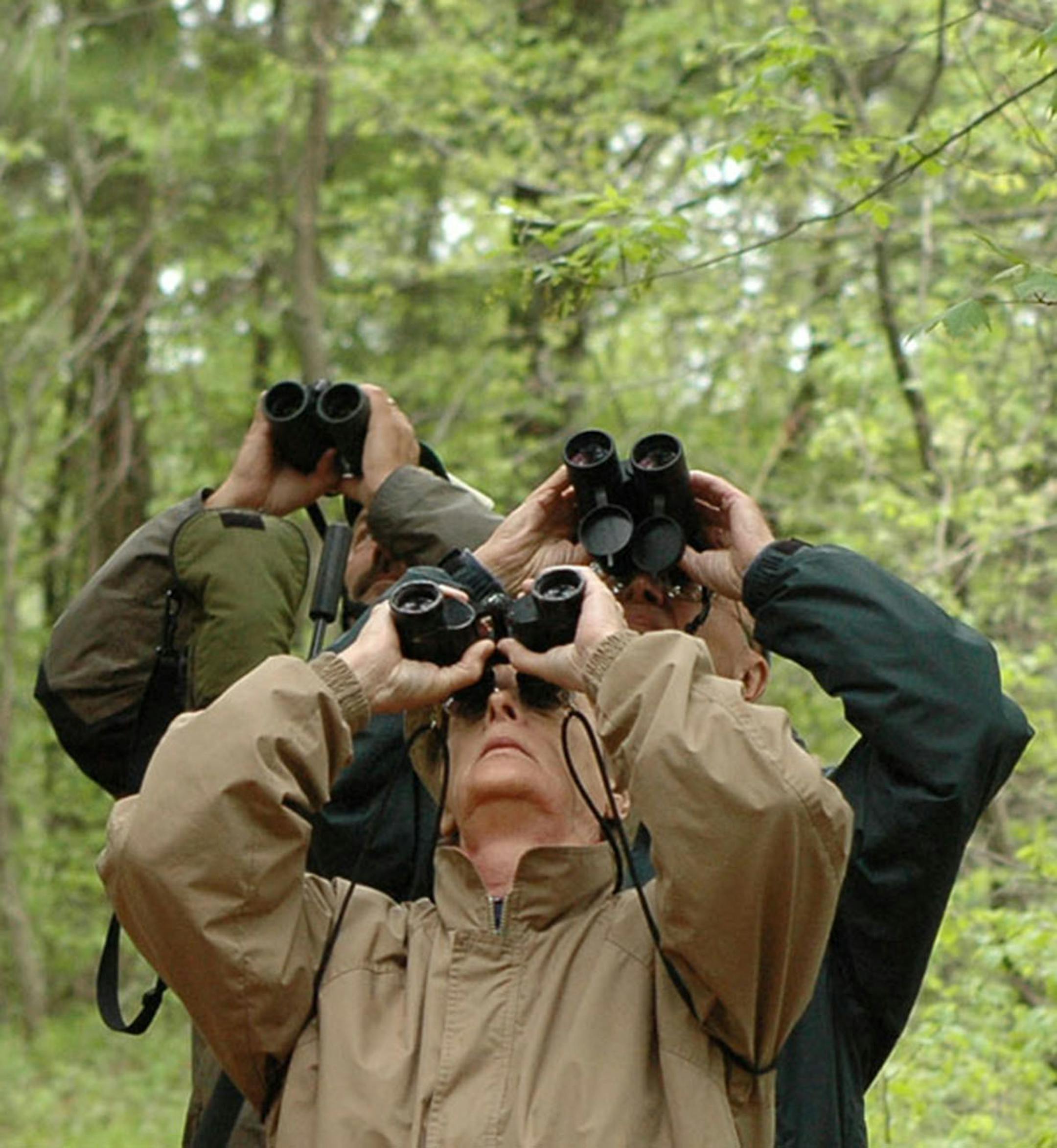 Birders wear subdued color clothing to help blend in with their surroundings. credit: Jim Williams