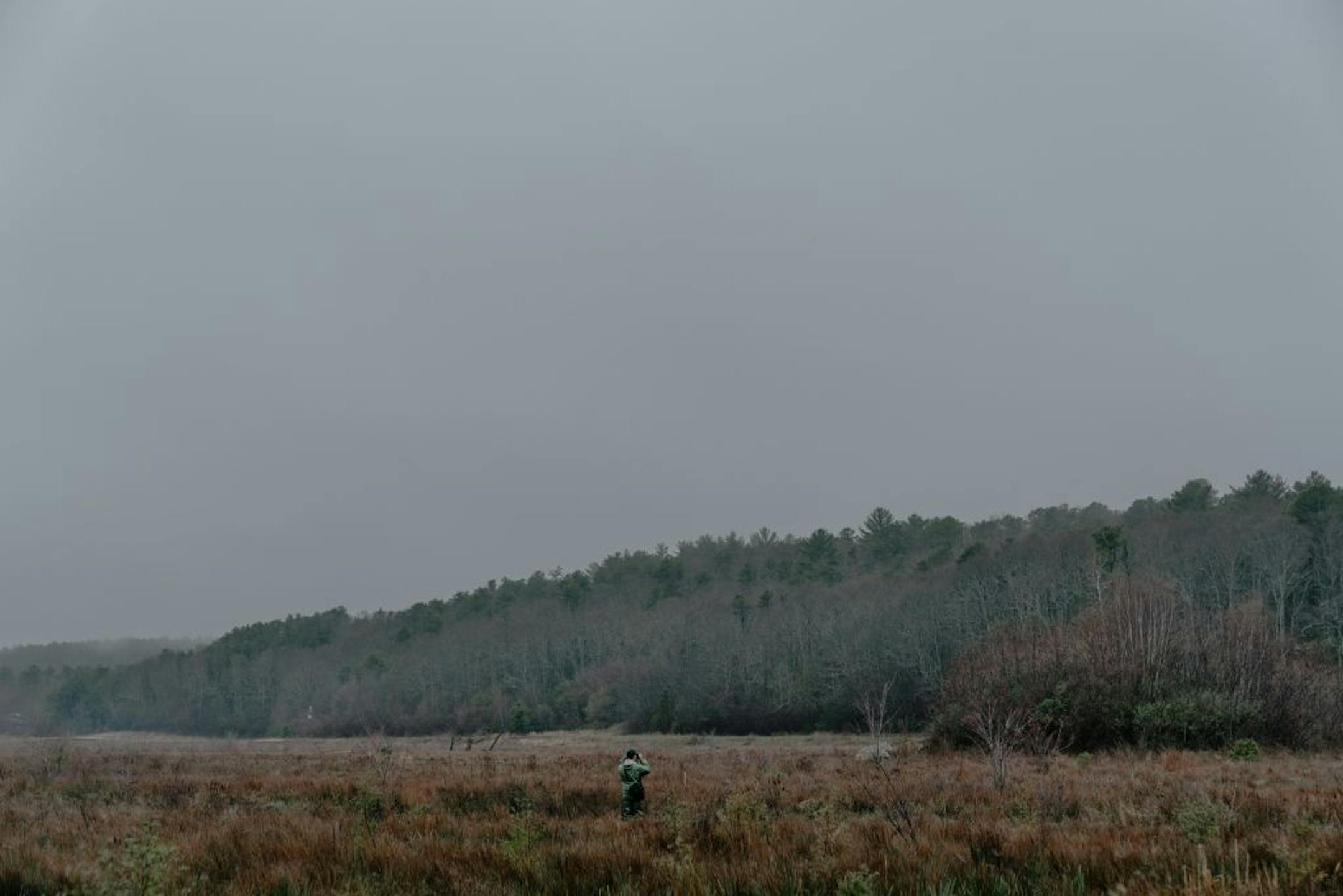 Gene Albanese, a scientist with the conservation organization Mass Audubon, surveys birds at the Tidmarsh Wildlife Sanctuary in Plymouth, Mass., April 27, 2017. Scientists are turning a cranberry bog back into coastal wetland. The experiment is seen as a path for dormant bogs and another chance for vanishing habitat.