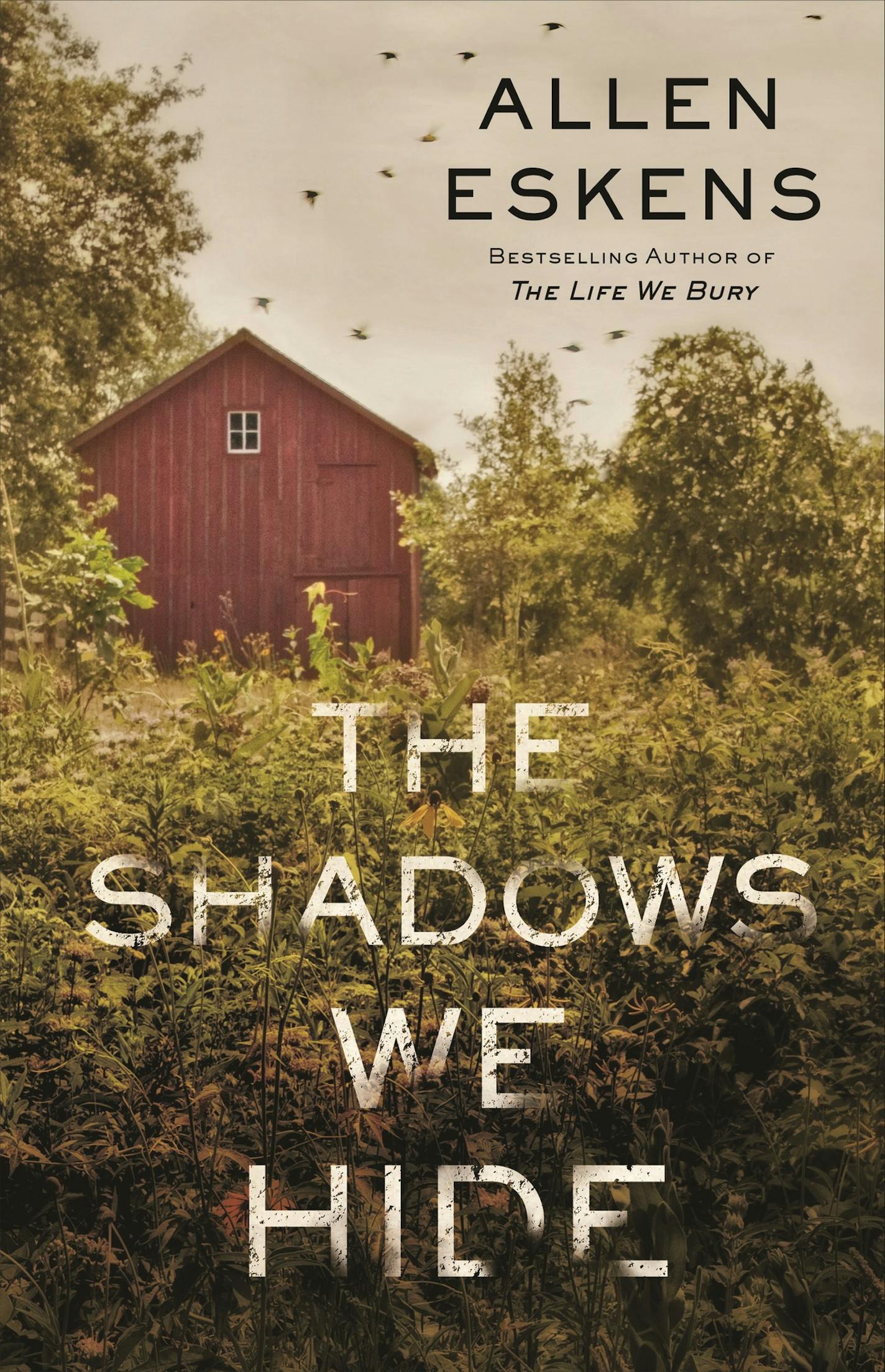 "The Shadows We Hide," by Allen Eskens